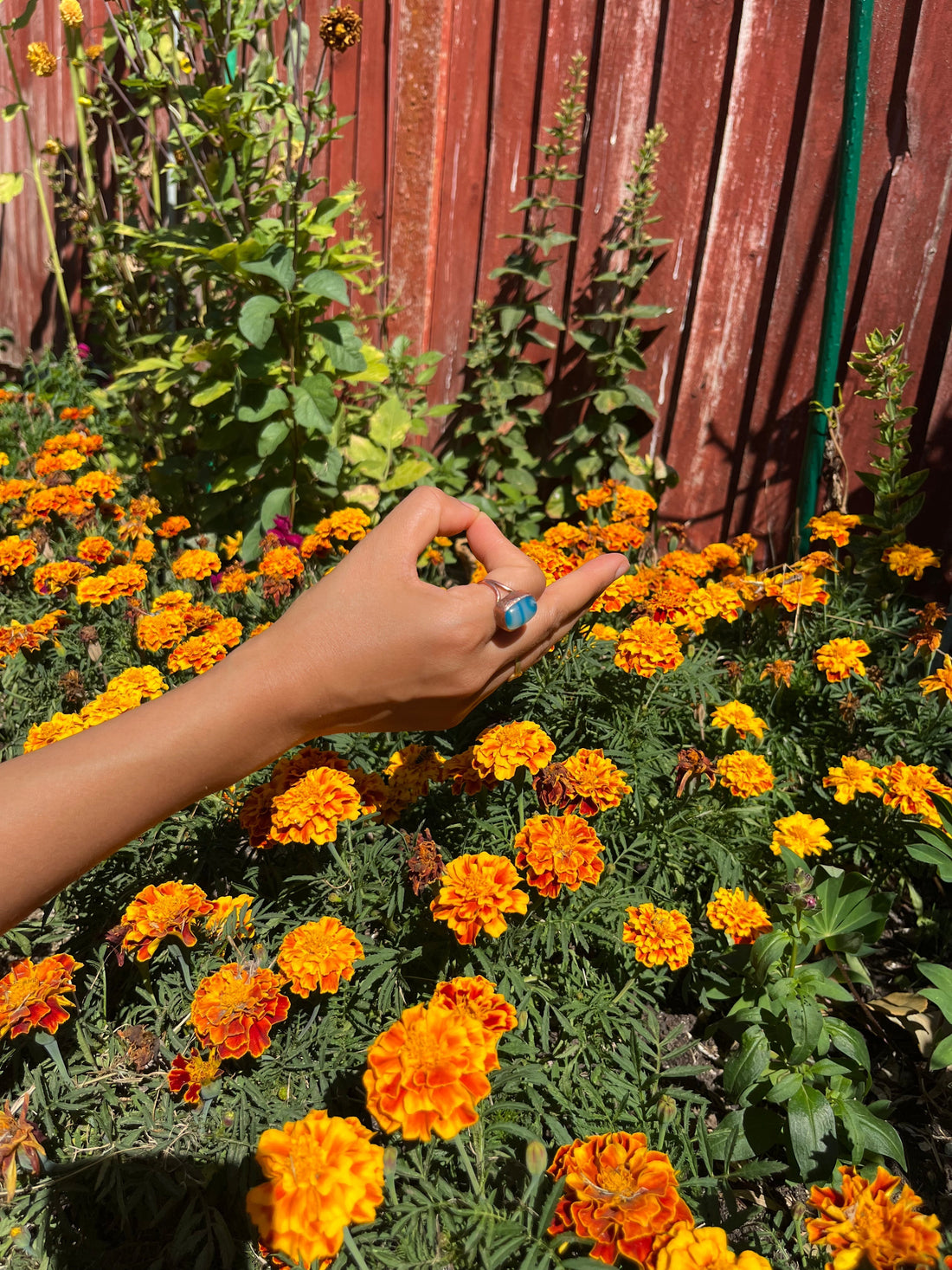 12 Powerful Mudrās To Transform Your Wellbeing